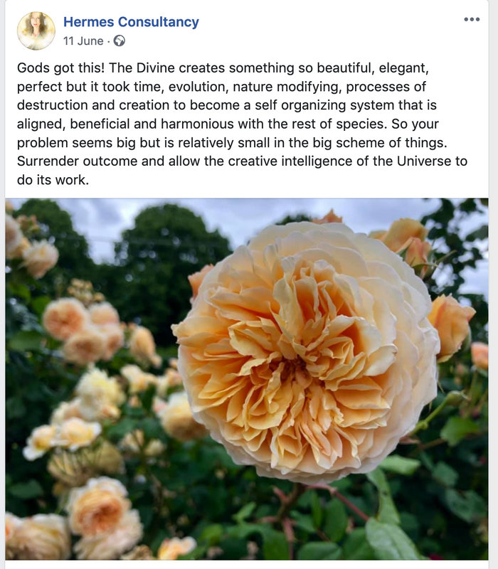Mystic musing 9